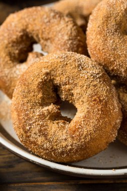 Homemade Fall Apple Cider Donuts Ready to Eat