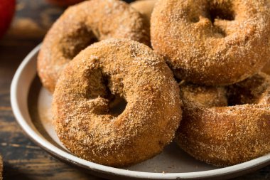 Homemade Fall Apple Cider Donuts Ready to Eat