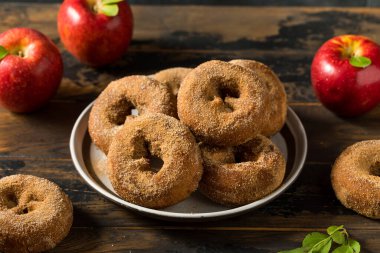 Homemade Fall Apple Cider Donuts Ready to Eat