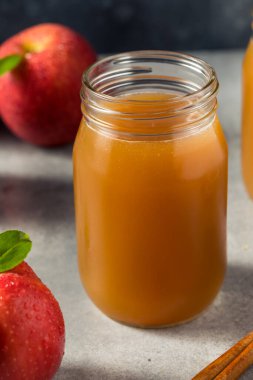 Cold Refreshing Autumn Apple Cider in a Glass