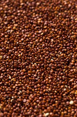 Kase içinde çiğ organik kırmızı kinoa tohumu