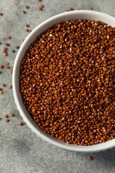 Rauwe Biologische Rode Quinoa Zaad Een Kom — Stockfoto