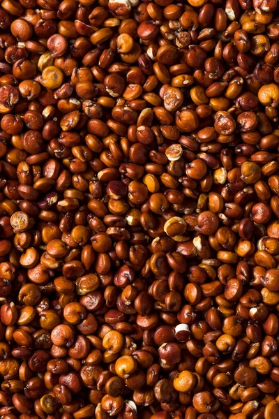 Органические Семена Красной Киноа Чаше — стоковое фото