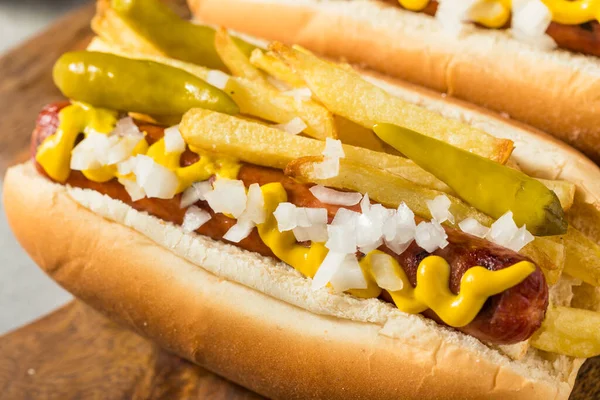 Hausgemachter Chicago Style Depression Dog Mit Pommes Senf Und Zwiebeln — Stockfoto