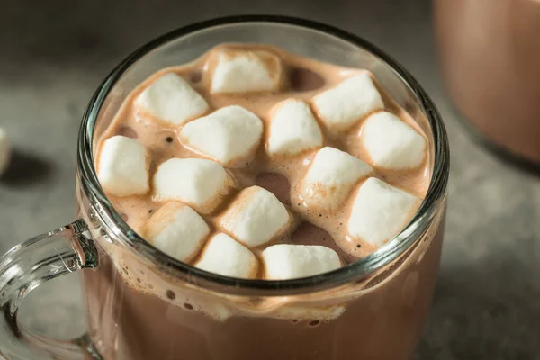 Warme Erfrischende Heiße Kakaoschokolade Mit Marshmallows — Stockfoto