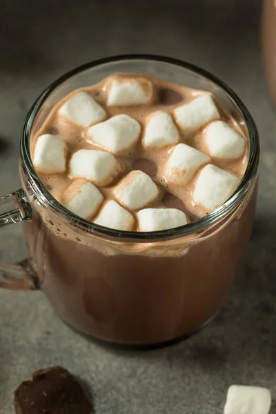 Varm Uppfriskande Varm Kakao Choklad Med Marshmallows — Stockfoto