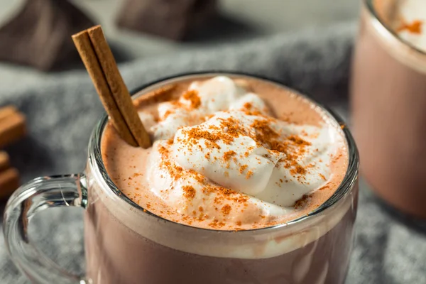 Homemade Spicy Mexican Hot Cocoa Chocolate Cinnamon Cayenne — стокове фото