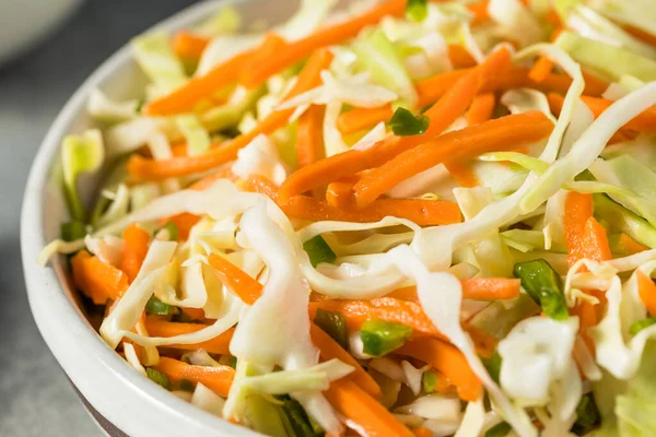Homemade Fereated Vegetable Curtido Cabbage Carrot Jalapeno — 스톡 사진