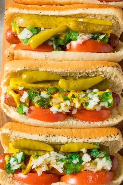 Buatan Sendiri Chicago Style Hot Dogs Dengan Tomato Onion Dan — Stok Foto