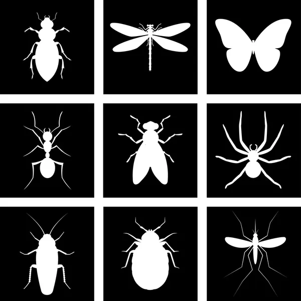 Icônes insectes — Image vectorielle