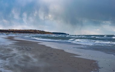 Palanga şehrindeki bulutlu gökyüzüne karşı ağaç çizgisi olan boş sahil rüzgarı.