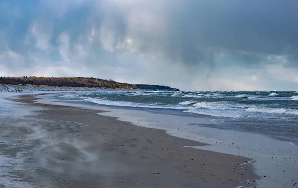 Lege Strandwind Met Boomgrens Tegen Bewolkte Lucht Palanga Stad — Stockfoto