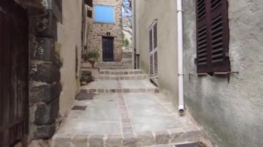 Ormanda gün boyunca yürürken yeşil ağaçlar hiç kimse güzel bir gün geçirmez doğa.