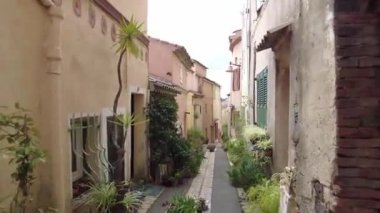 Ormanda gün boyunca yürürken yeşil ağaçlar hiç kimse güzel bir gün geçirmez doğa.