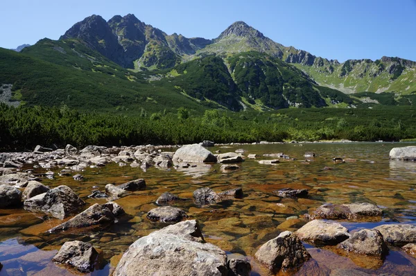 Ruscello di montagna negli Alti Tatra — Foto Stock