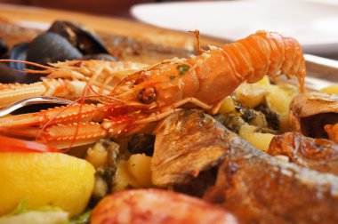 Akdeniz çanağı karışık karides, Balık ve istiridye