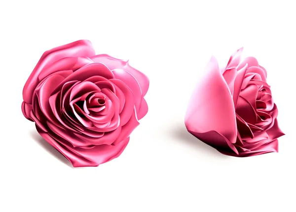 3D różowy róża — Zdjęcie stockowe