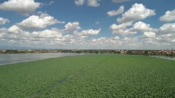 Hyperlapse Lago Superiore Mantova — Stockvideo