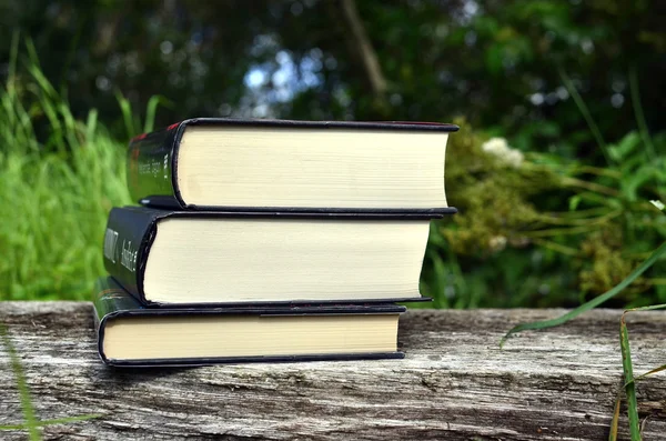 Bankın üzerinde yığılmış kitaplar