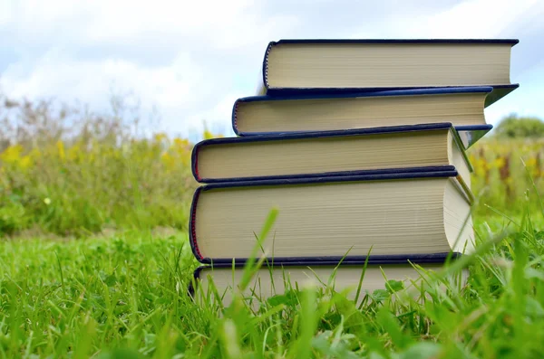 Boeken op het gras — Stockfoto