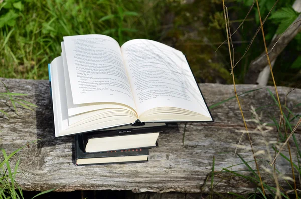 Bankın üzerinde yığılmış kitaplar