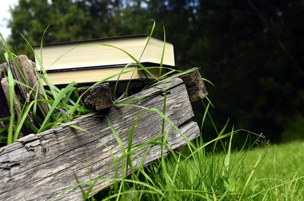 Bankın üzerinde yığılmış kitaplar — Stok fotoğraf