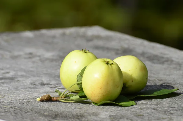 Άγρια μήλα — Φωτογραφία Αρχείου