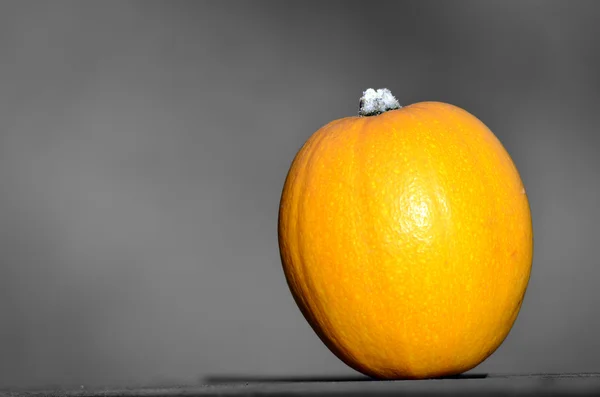 Mini pumpkin — Stock Photo, Image