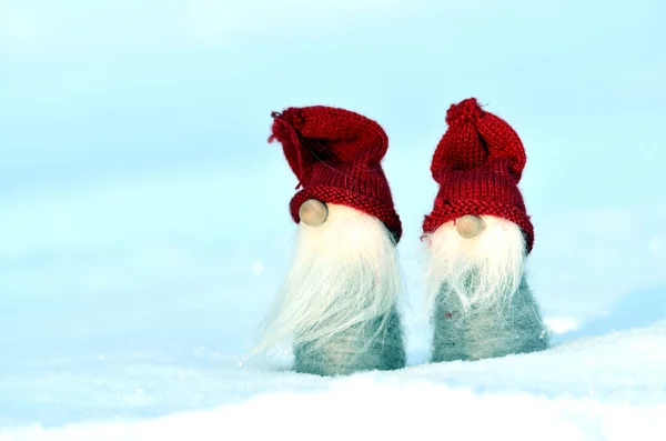 Two little gnomes — Stock Photo, Image