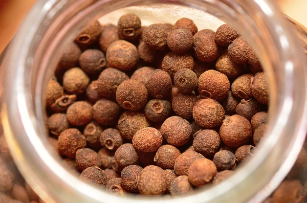 Allspice i — Stock Photo, Image