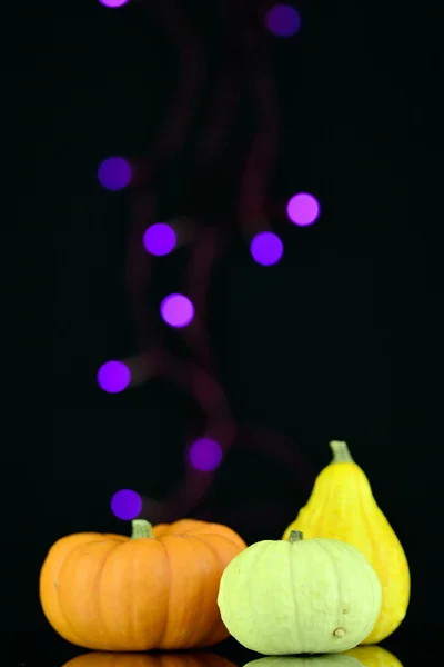 Kleine pompoenen — Stockfoto
