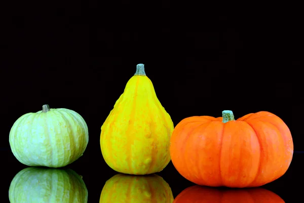 Små pumkins — Stockfoto