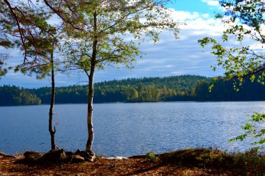 Göl ağaç ve yaprak