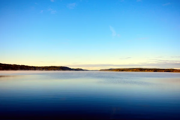 Göl ağaç ve yaprak