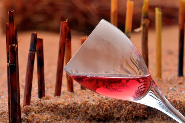 와인 한 잔 — 스톡 사진