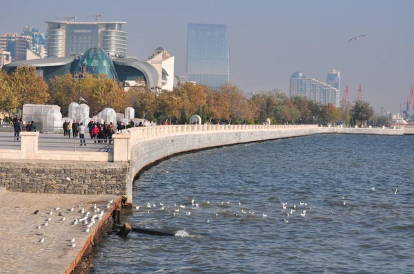 Bakü park