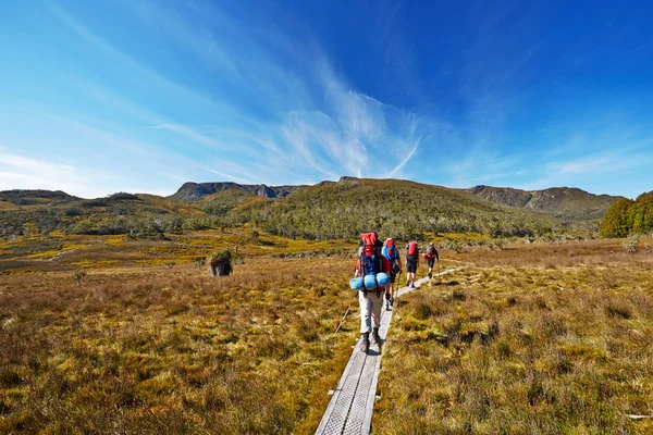 Randonneurs sur le sentier Overland en Tasmanie, Australie Photo De Stock