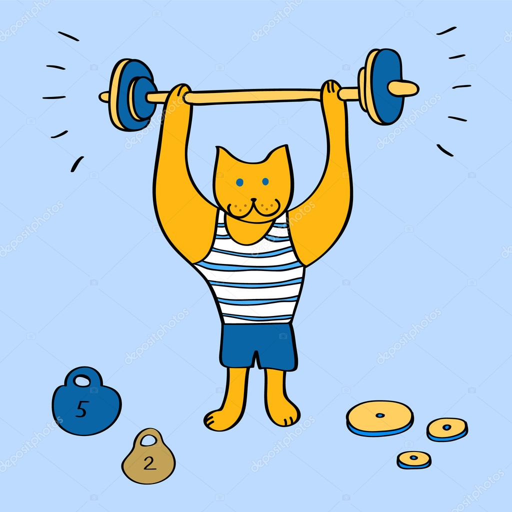 Funny cartoon bodybuilder cat with barbell on blue, vector illustration
