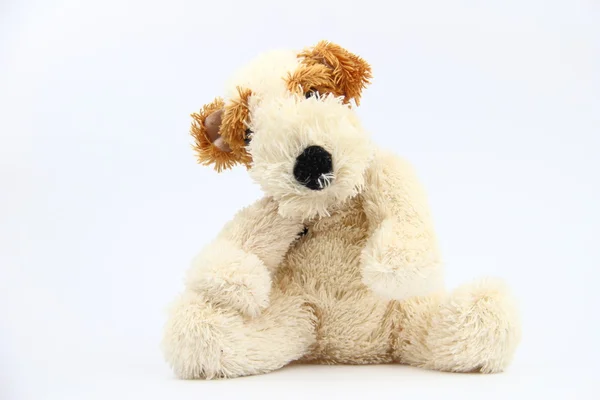 Peluche chien — Photo