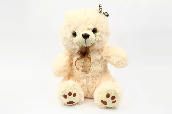 L'ours en peluche — Photo