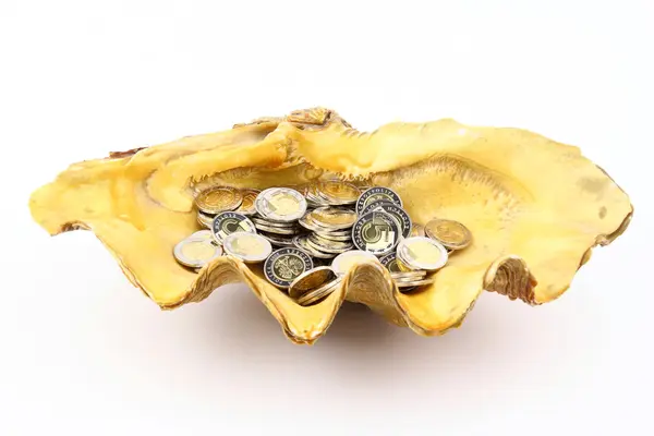 The shell — Stock Photo, Image