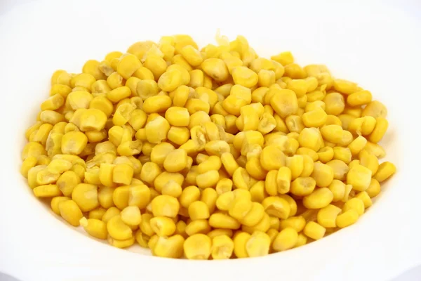 Corn — Stock Photo, Image