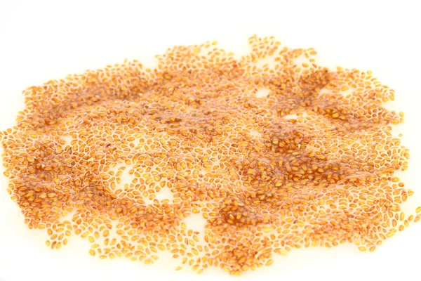 Germogliare semi di fiore di cuculo — Foto Stock