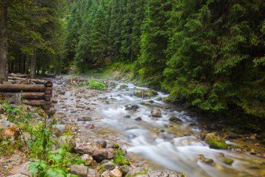 Yazın dağdaki nehir
