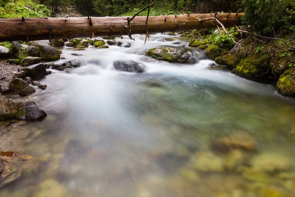 Řeka Horách Létě — Stock fotografie