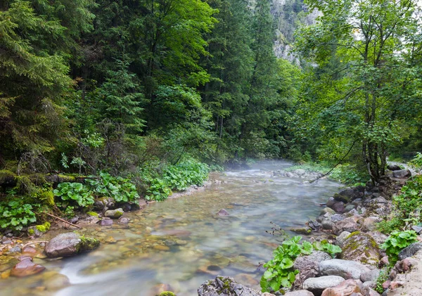 Řeka Horách Létě — Stock fotografie