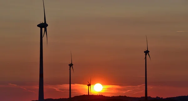 Vindmøller på et jorde ved solnedgang – stockfoto