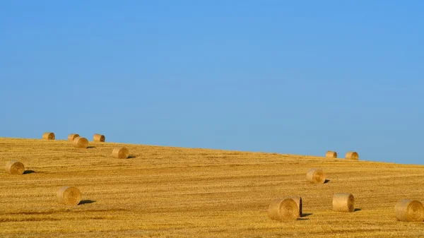 Bales de heno — Foto de Stock