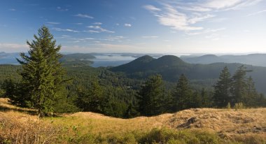 San juan Adaları Yaz