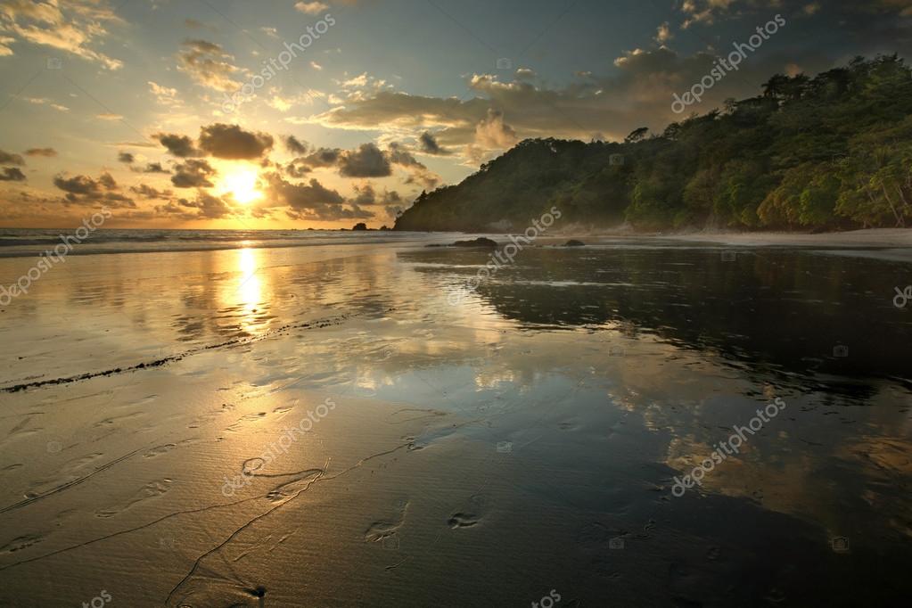 Costa Rica Jungle Beach — Stock Photo © mtilghma 13838250
